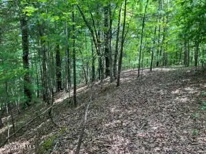 Lot 11 Green Cove Circle, Murphy, NC 28906 - #2