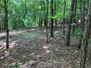 Lot 11 Green Cove Circle, Murphy, NC 28906 - #3