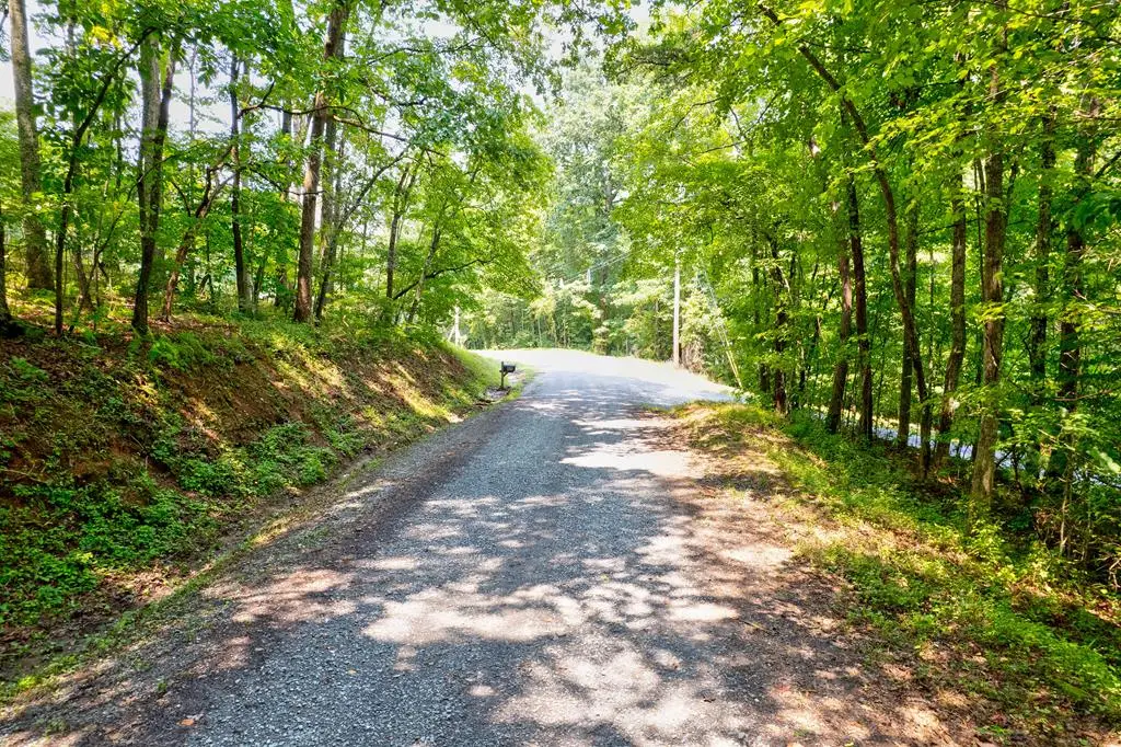 0 Shady Lane, Mineral Bluff, GA 30559 - #1