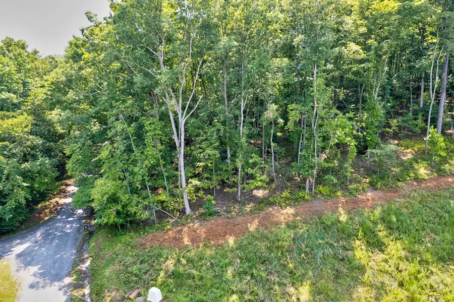 0 Shady Lane, Mineral Bluff, GA 30559 - #2
