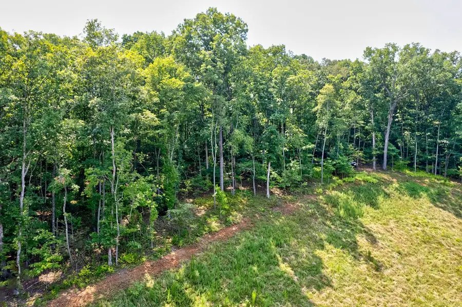 0 Shady Lane, Mineral Bluff, GA 30559 - #3