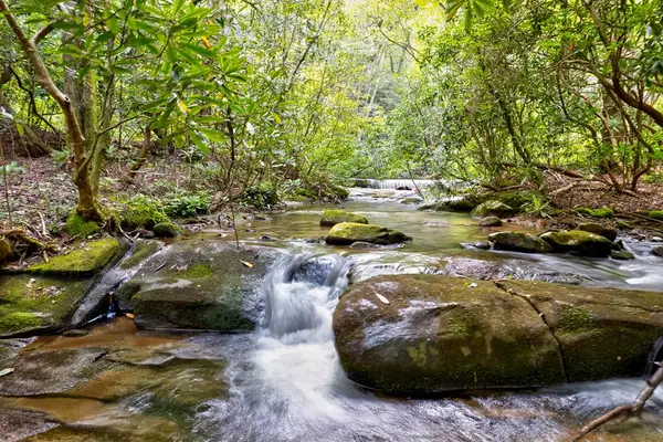 0 Wolf Pen Trail, Ellijay, GA 30540