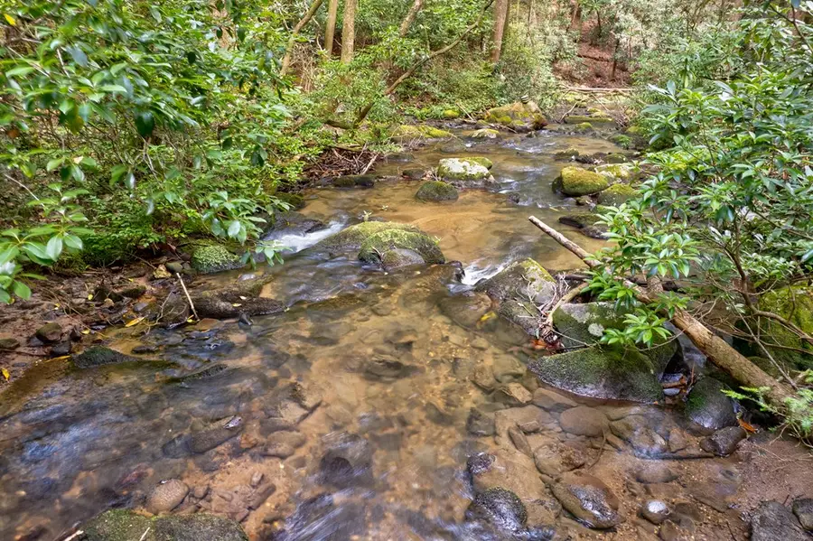 0 Wolf Pen Trail, Ellijay, GA 30540 - #3