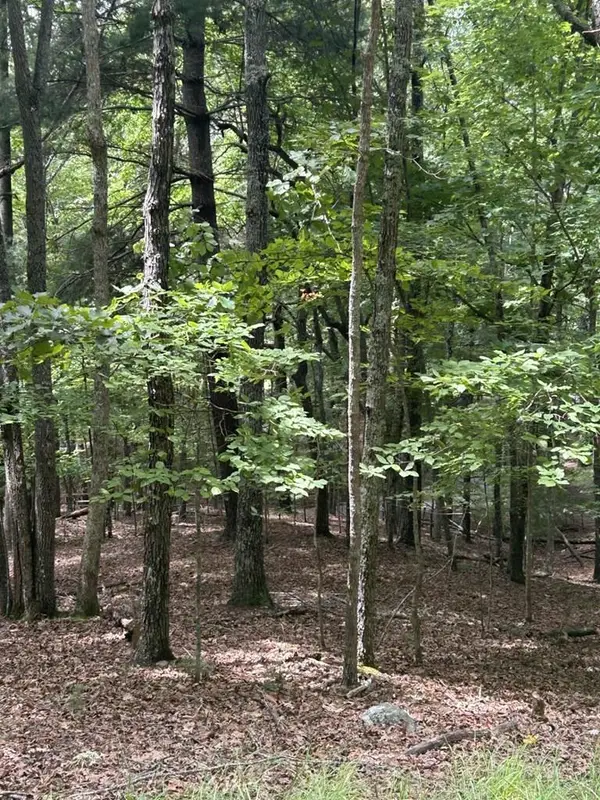 1.5 Liberty Hill Road, Morganton, GA 30560