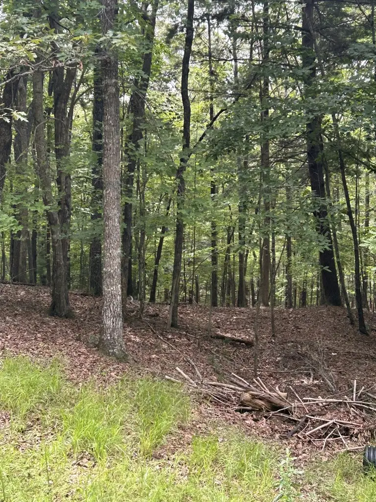 1.5 Liberty Hill Road, Morganton, GA 30560 - #3