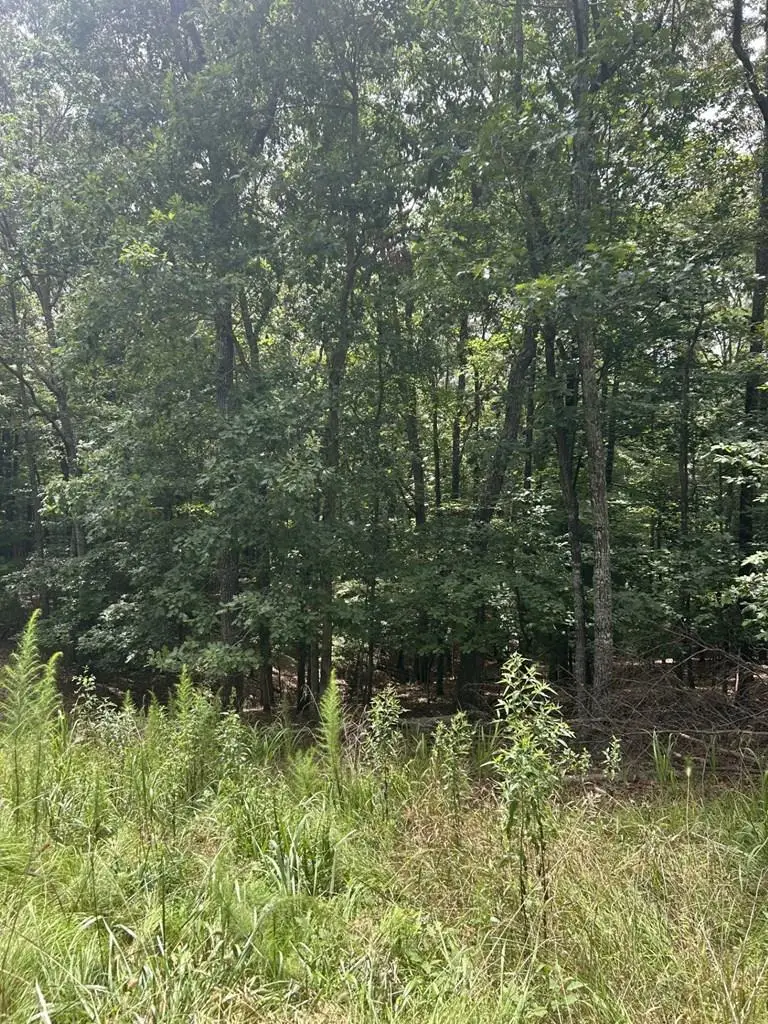 1.5 Liberty Hill Road, Morganton, GA 30560 - #1