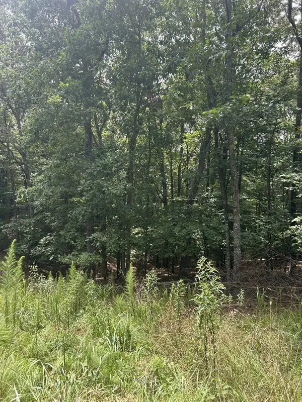 1.5 Liberty Hill Road, Morganton, GA 30560