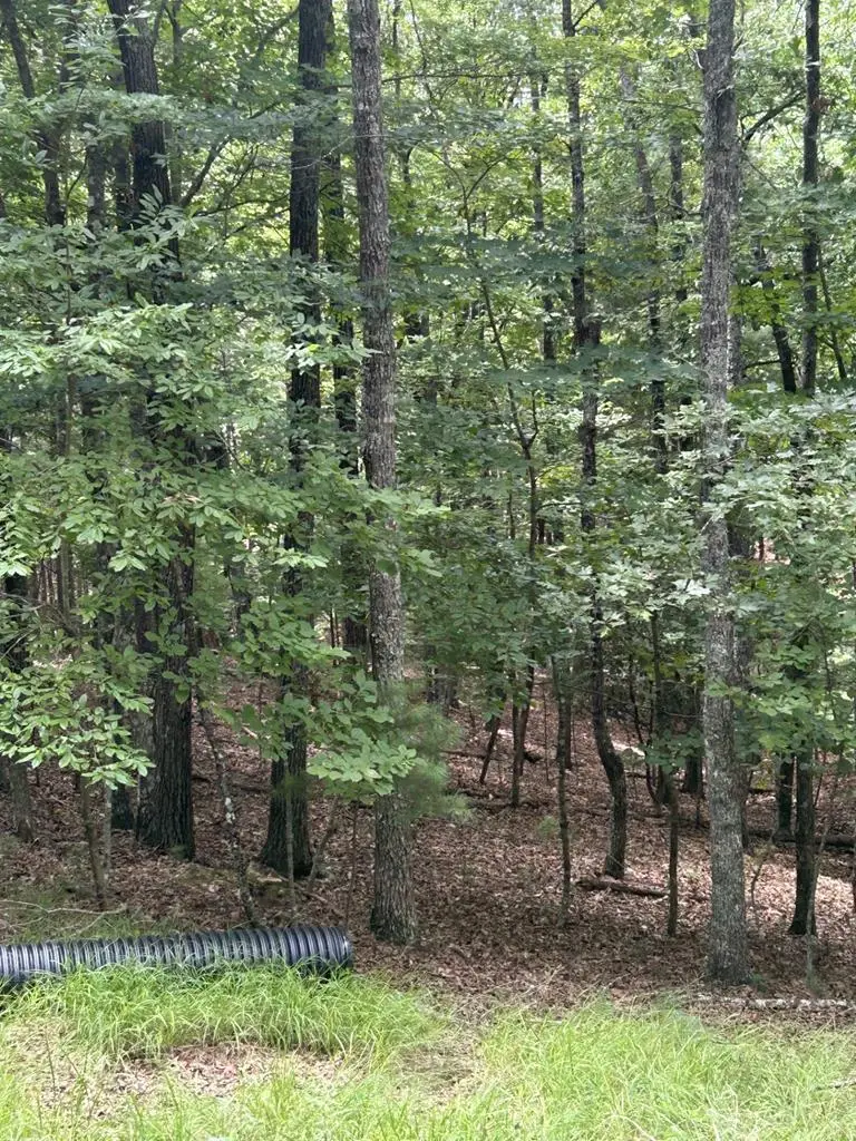 1.5 Liberty Hill Road, Morganton, GA 30560 - #2