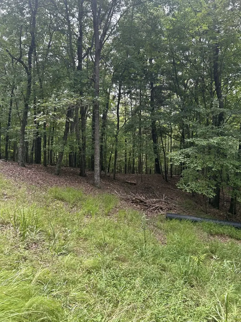 1.5 Liberty Hill Road, Morganton, GA 30560 - #3