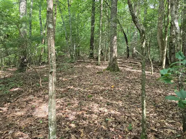 3.59 AC Swallows Creek Road, Hiawassee, GA 30546