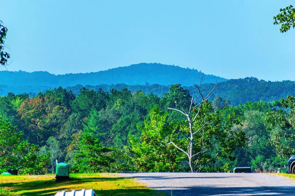 Lot 50 Jakes Landing Way, Ellijay, GA 30540 - #1