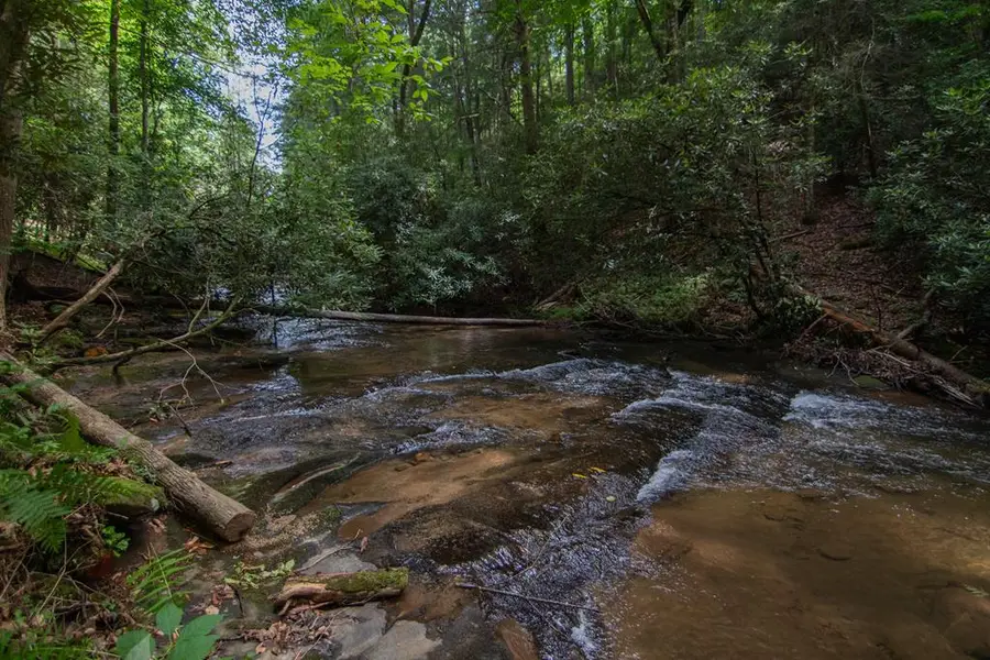 1990 Big Creek, Blue Ridge, GA 30513 - #3