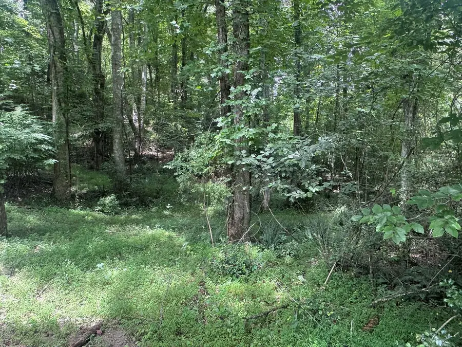 5 Trillium Lane, Brasstown, NC 28902 - #3