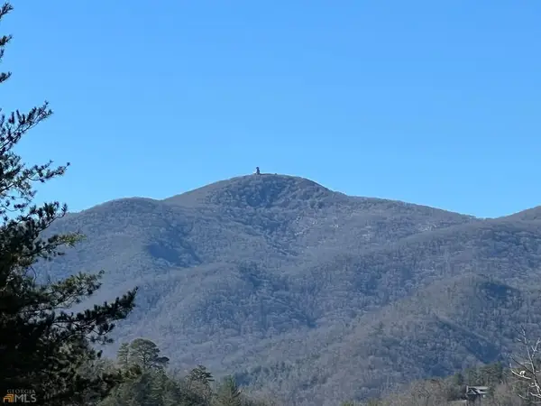 Lot 4 Mill Ridge Road, Hiawassee, GA 30546