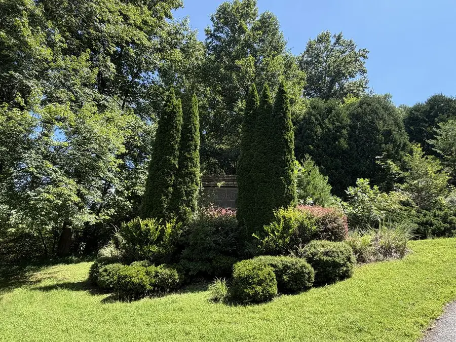 Lot 4 Mill Ridge Road, Hiawassee, GA 30546 - #2
