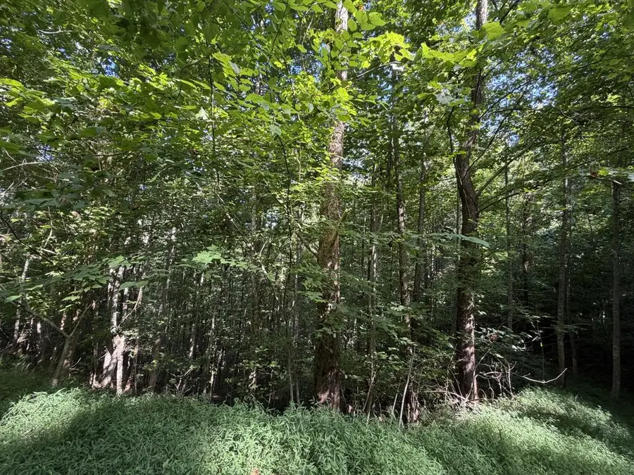 Lot 4 Mill Ridge Road, Hiawassee, GA 30546 - #3