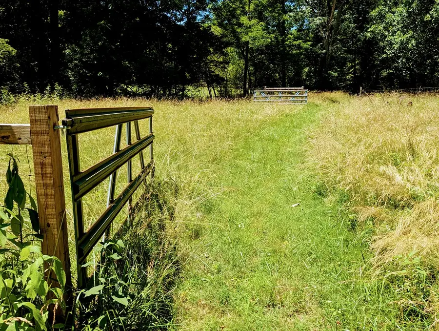 169 E Vineyard Road, Hayesville, NC 28904 - #2
