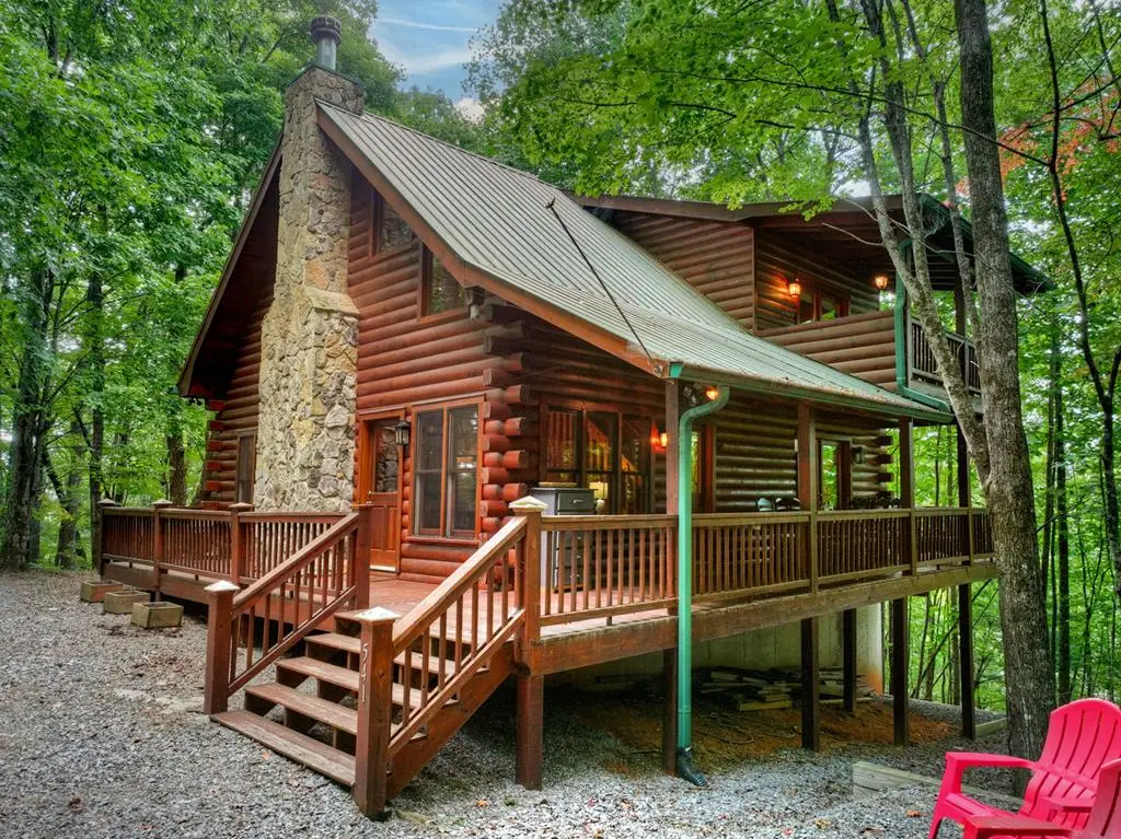 541 Little Bushy Head Road, Blue Ridge, GA 30513 - #1