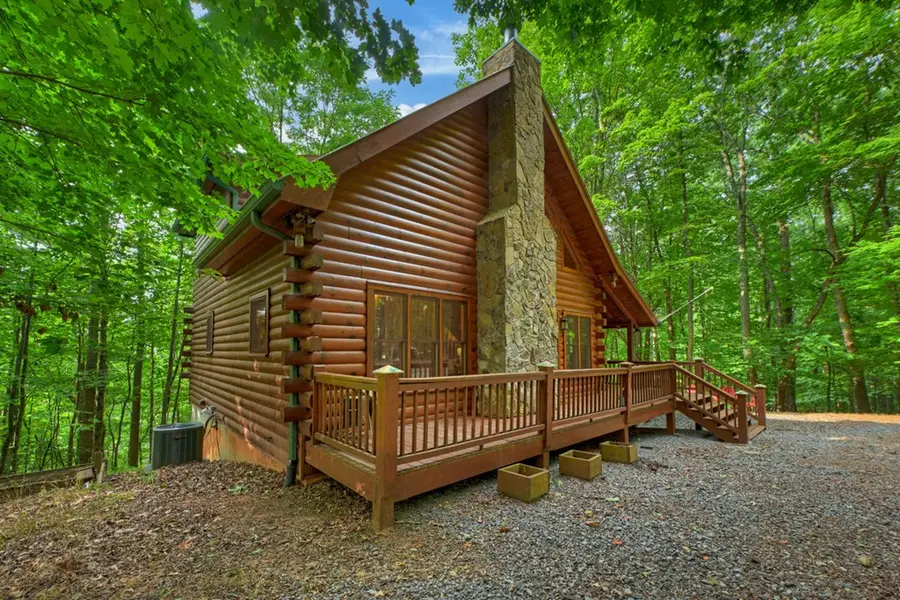 541 Little Bushy Head Road, Blue Ridge, GA 30513 - #3