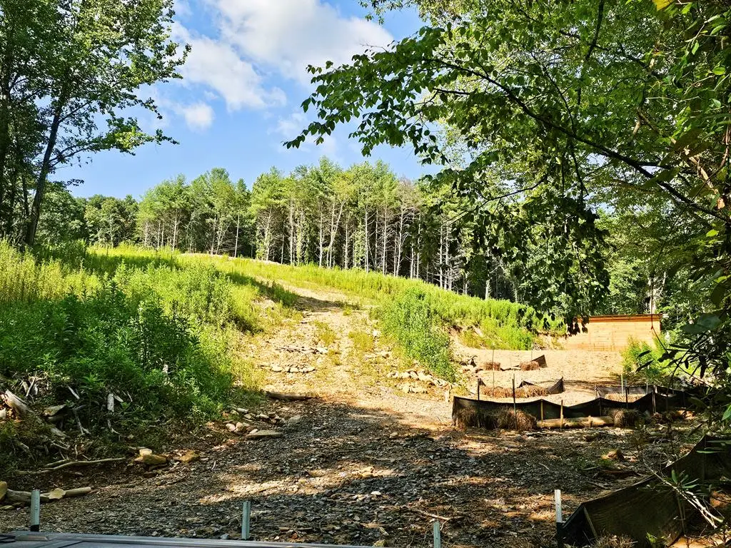 8.43 AC River Cove Lane, Hayesville, NC 28904 - #1