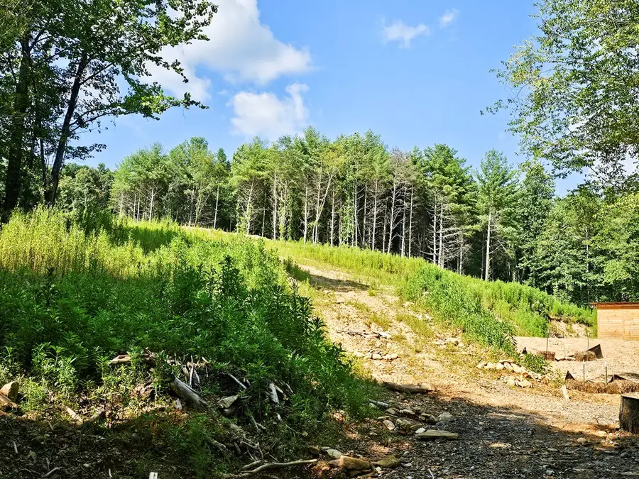 8.43 AC River Cove Lane, Hayesville, NC 28904 - #2