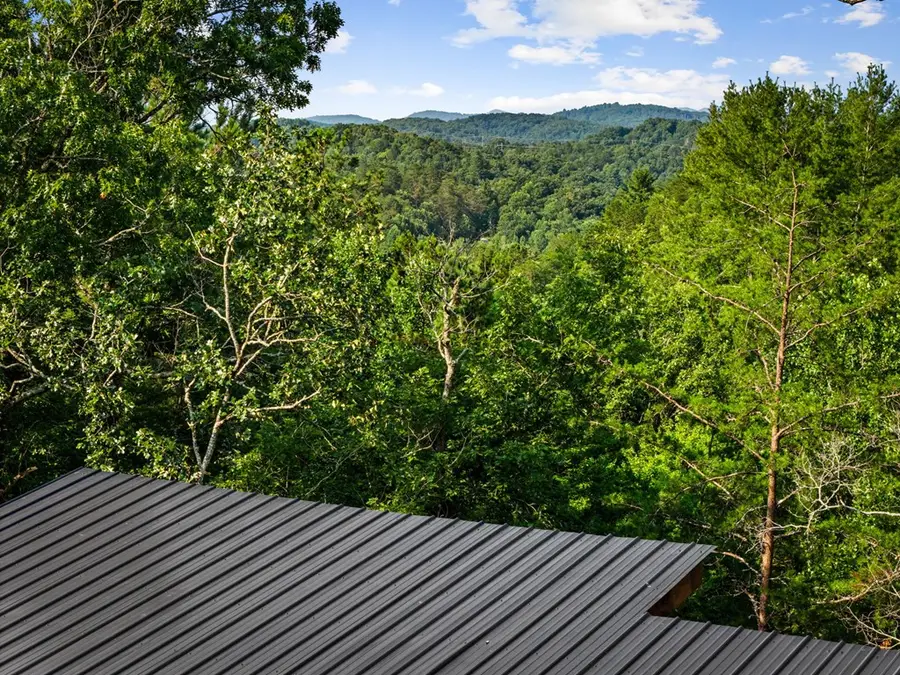 65 Wolf Creek Heights, Mineral Bluff, GA 30559 - #3