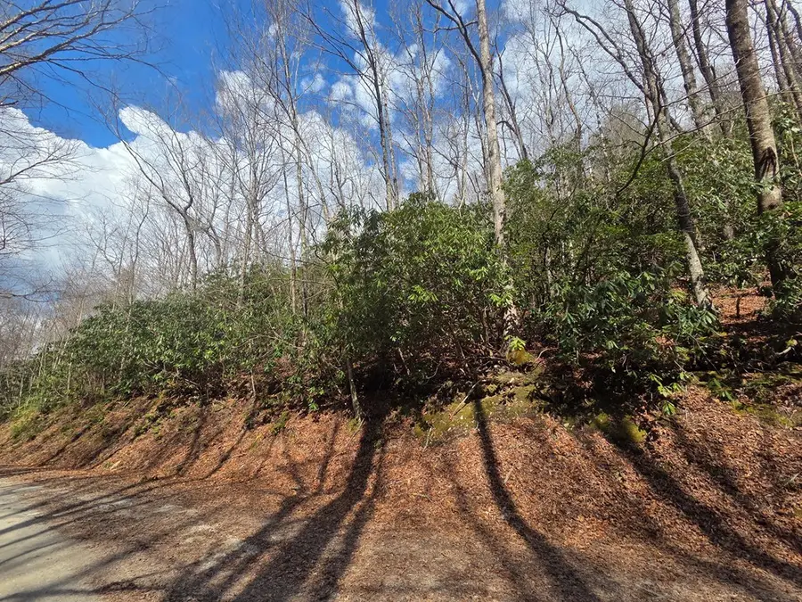 1104 Mill Creek Road, Robbinsville, NC 28771 - #2