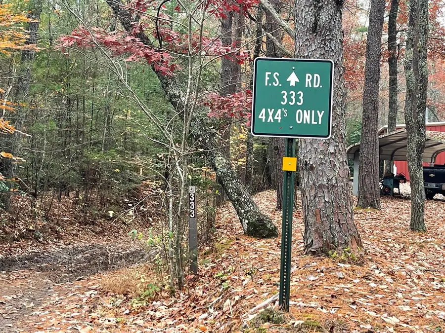19 Ladybug Lane, Blue Ridge, GA 30513 - #2