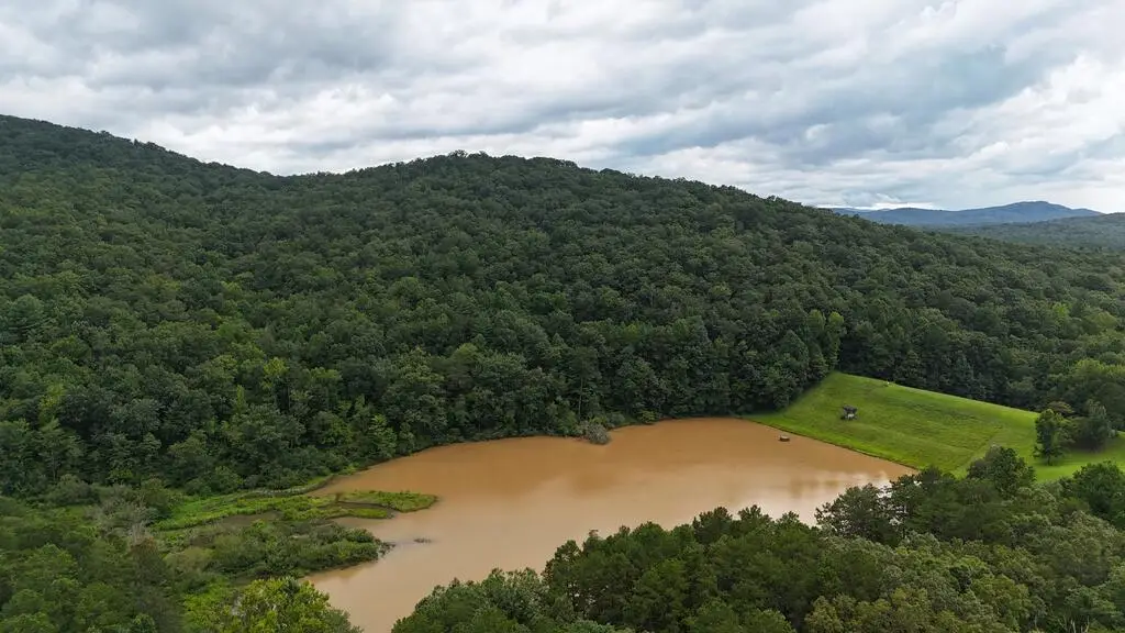 N/A Roy Road, Ellijay, GA 30536 - #1