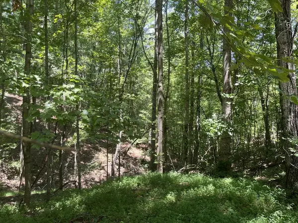 0 Twin Oaks, Ellijay, GA 30540