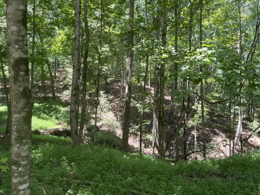 0 Twin Oaks, Ellijay, GA 30540 - #2