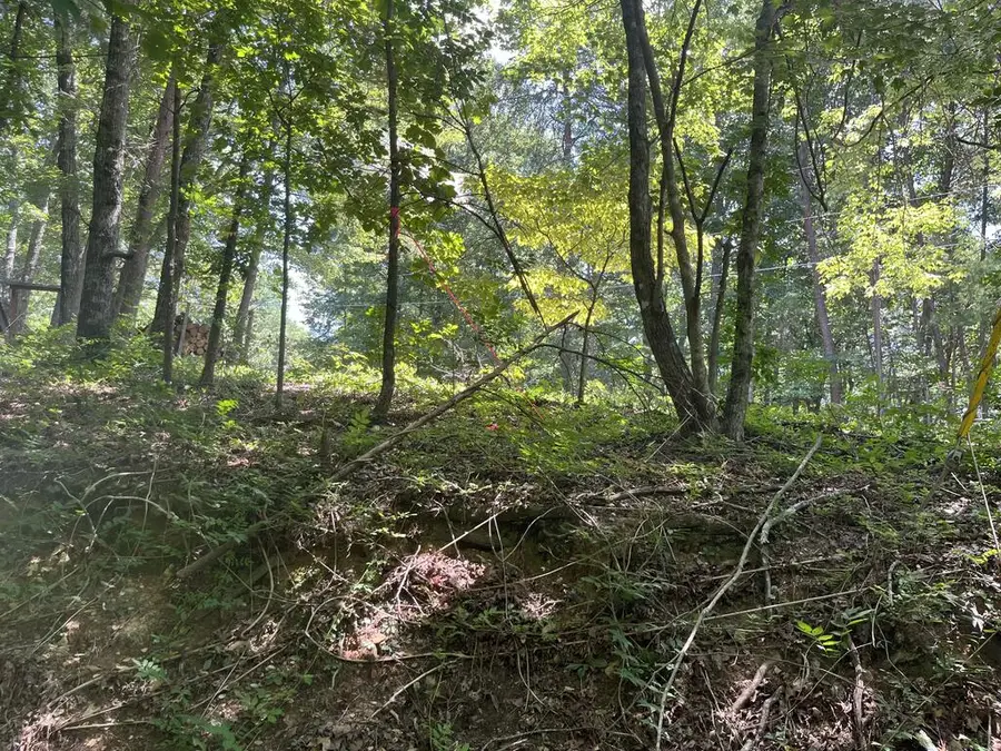 0 Twin Oaks, Ellijay, GA 30540 - #3