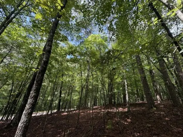0-LT870 Oneida Circle, Ellijay, GA 30540 - #2