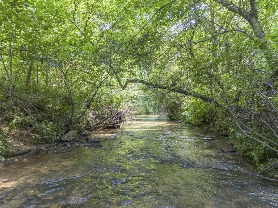 245 Sunrise Valley Road, Blue Ridge, GA 30513 - #3