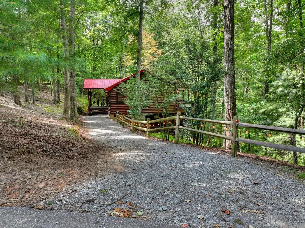 9 Casey Court, Blue Ridge, GA 30513 - #1