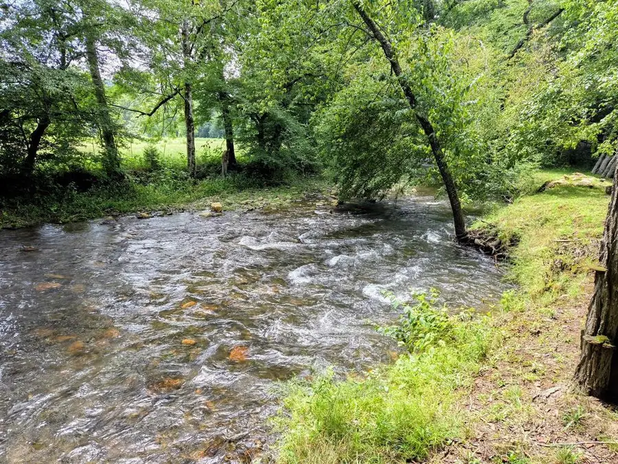 201 Ama Lane, Hayesville, NC 28904 - #2