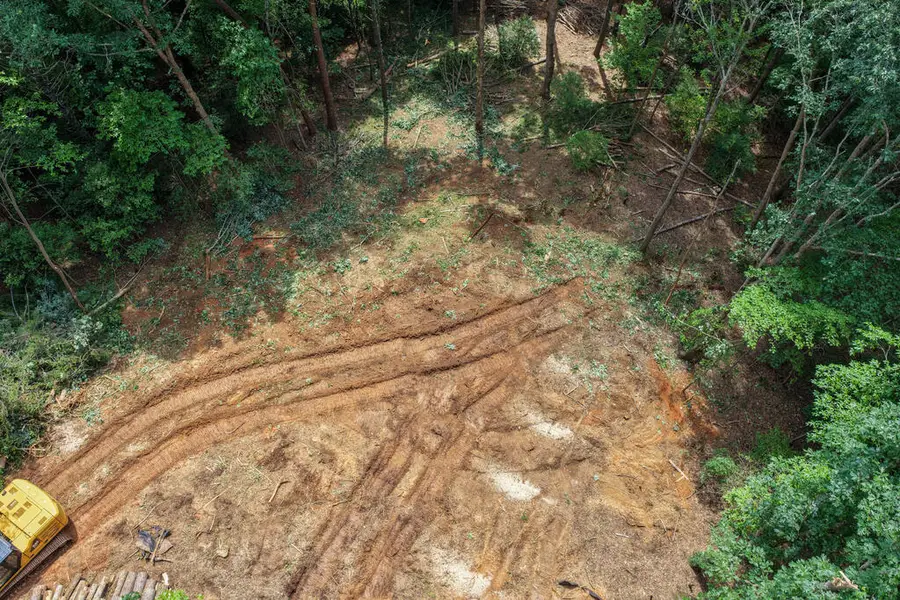 Lot 3 Clay's Way, Fannin, GA 30522 - #2