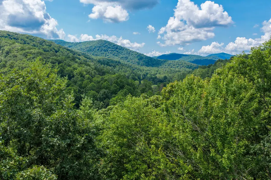 Lot 3 Clay's Way, Fannin, GA 30522 - #3