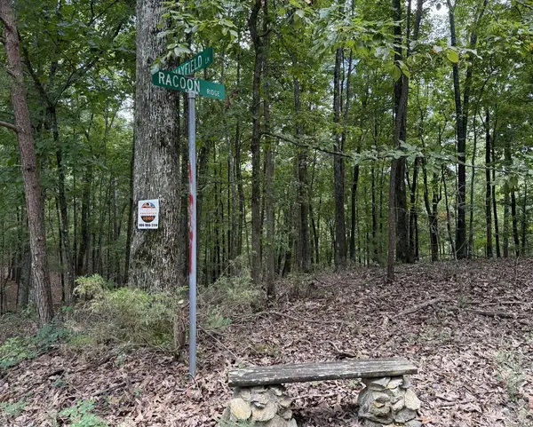 Lot 1065 Mayfield Lane, Ranger, GA 30734