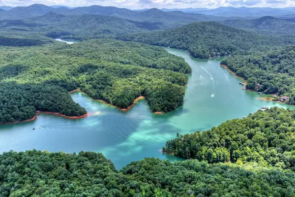 LT 60 Necowa Cove Overlook, Blue Ridge, GA 30513