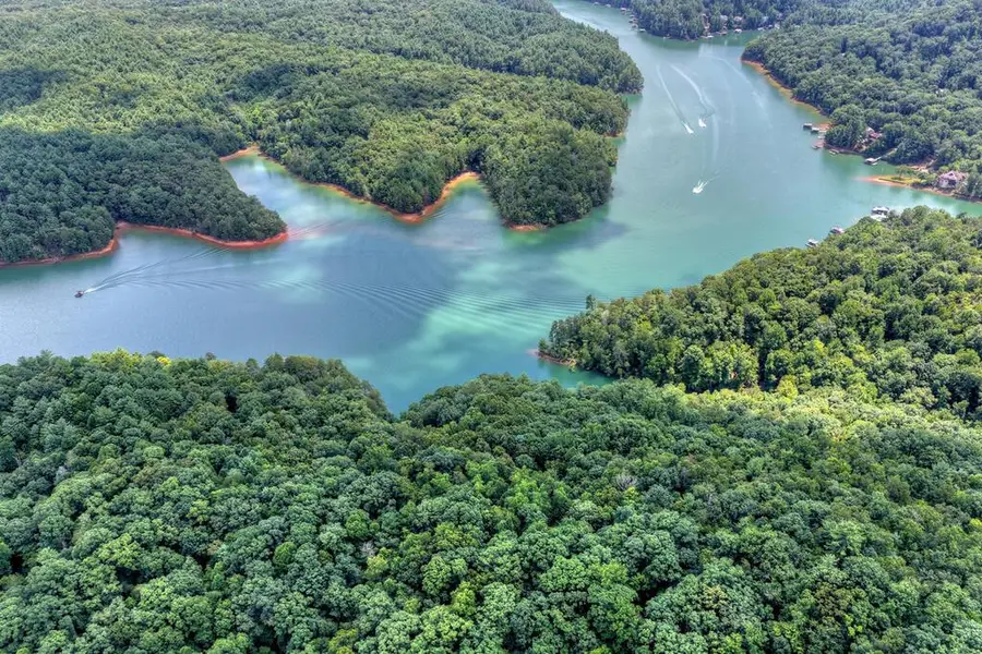 LT 60 Necowa Cove Overlook, Blue Ridge, GA 30513 - #2
