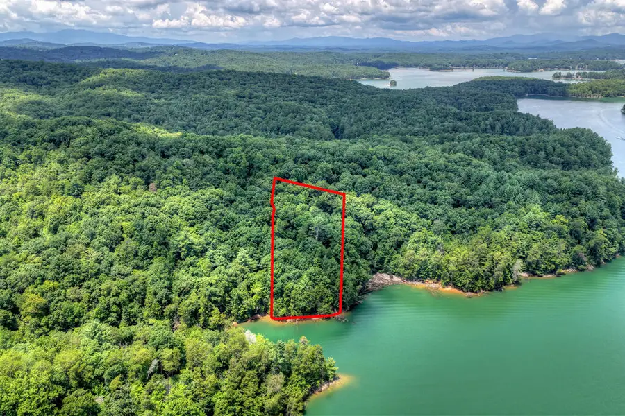 LT 60 Necowa Cove Overlook, Blue Ridge, GA 30513 - #3