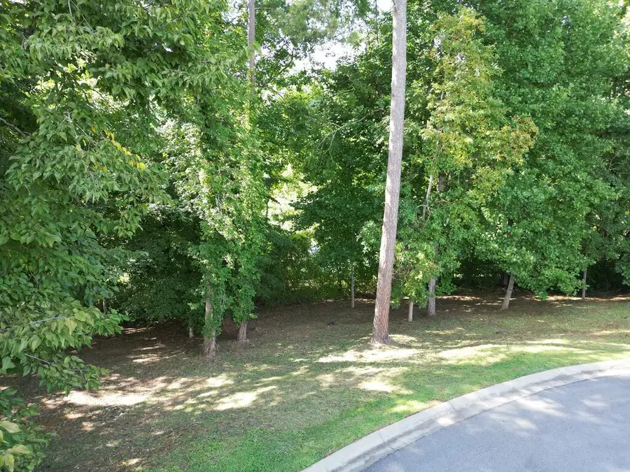 Lot 11 Bent Grass Circle, Hayesville, NC 28904 - #3