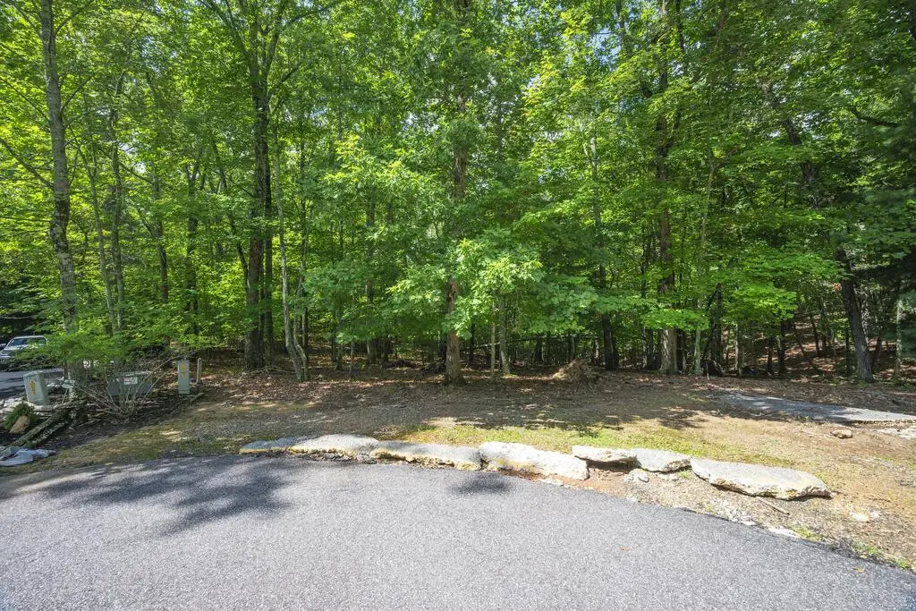 LOT 19 Gibbs Trail, Mineral Bluff, GA 30559 - #1