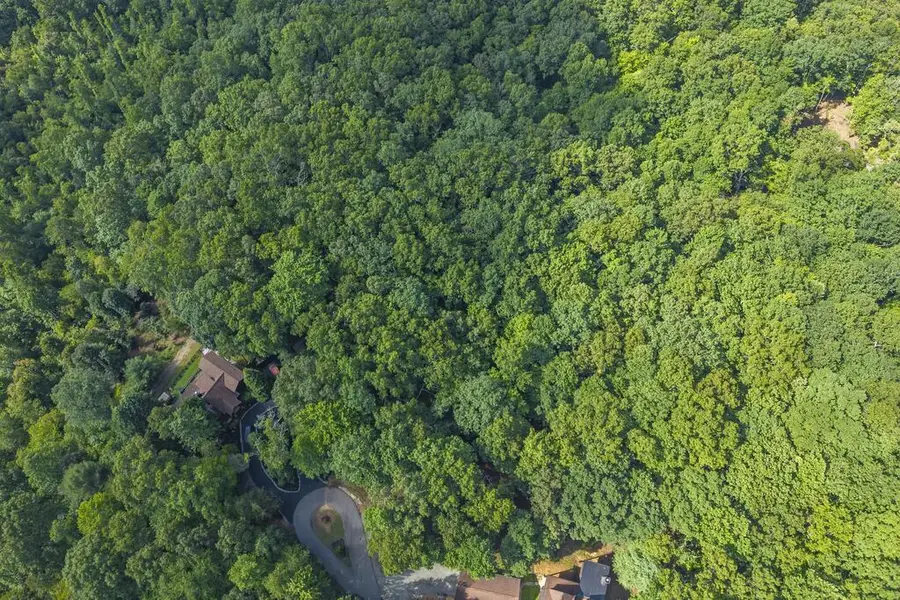 LOT 19 Gibbs Trail, Mineral Bluff, GA 30559 - #3
