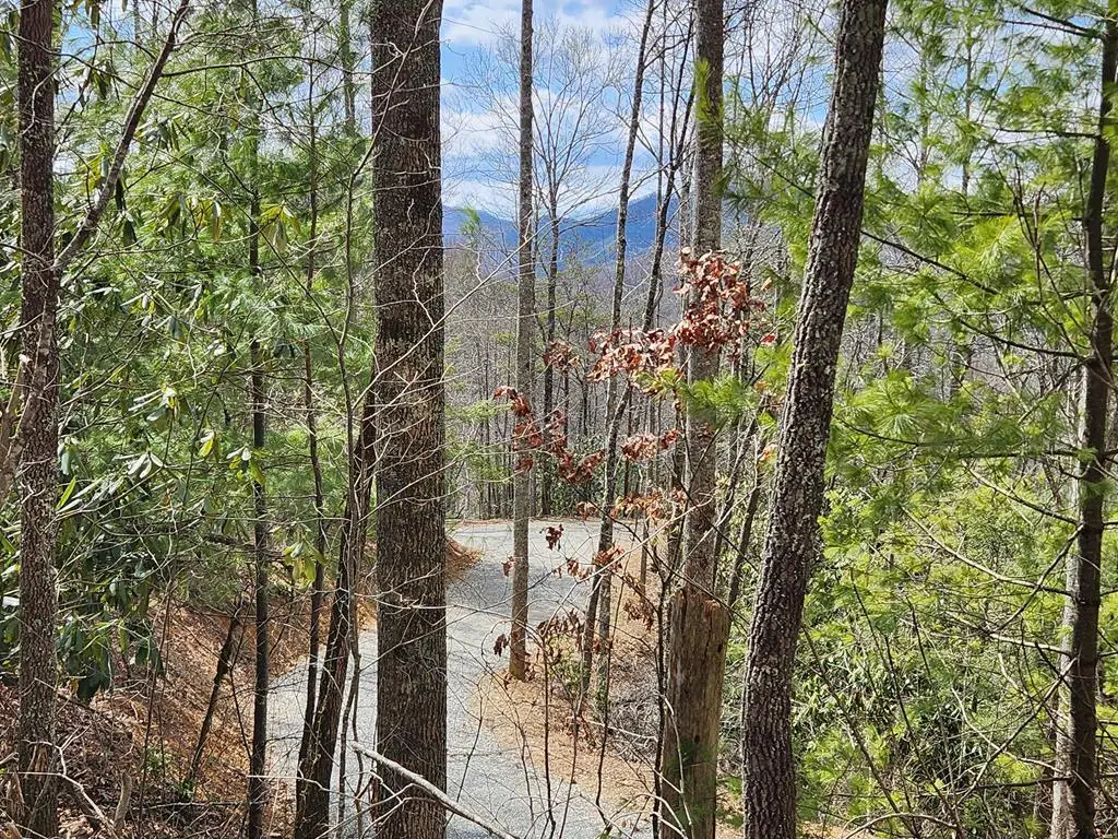 00 Camp Branch Road, Topton, NC 28783 - #1