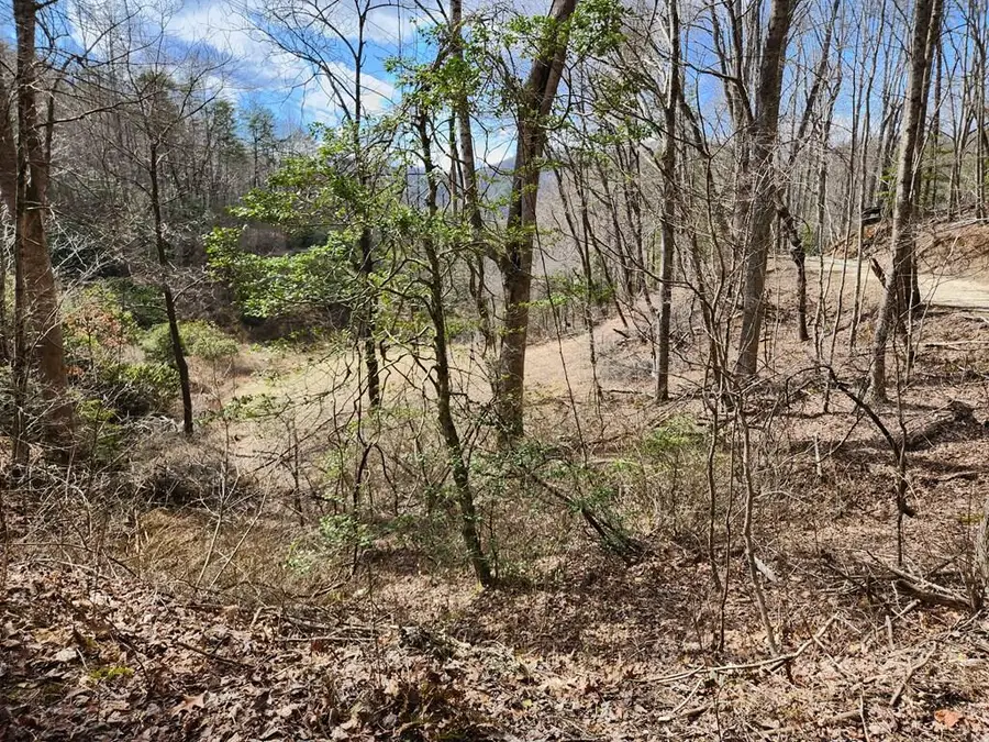 00 Camp Branch Road, Topton, NC 28783 - #2