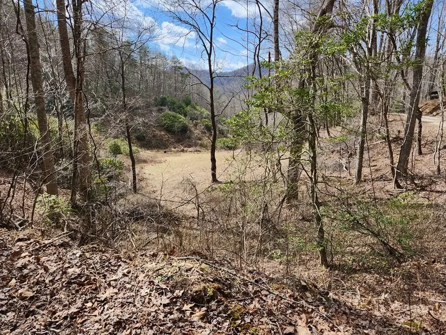 00 Camp Branch Road, Topton, NC 28783 - #3