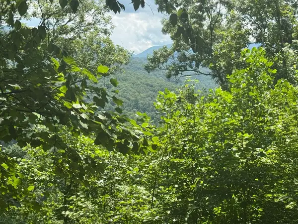 #2 & #7 Ivy Lane, Hiawassee, GA 30546
