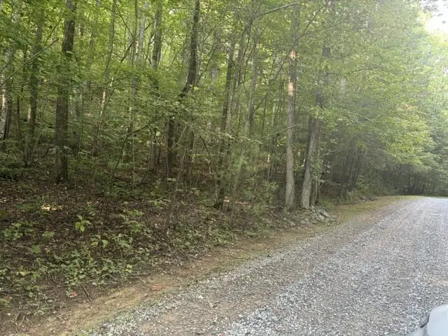 0 Heatherwood Way, Ellijay, GA 30540 - #1